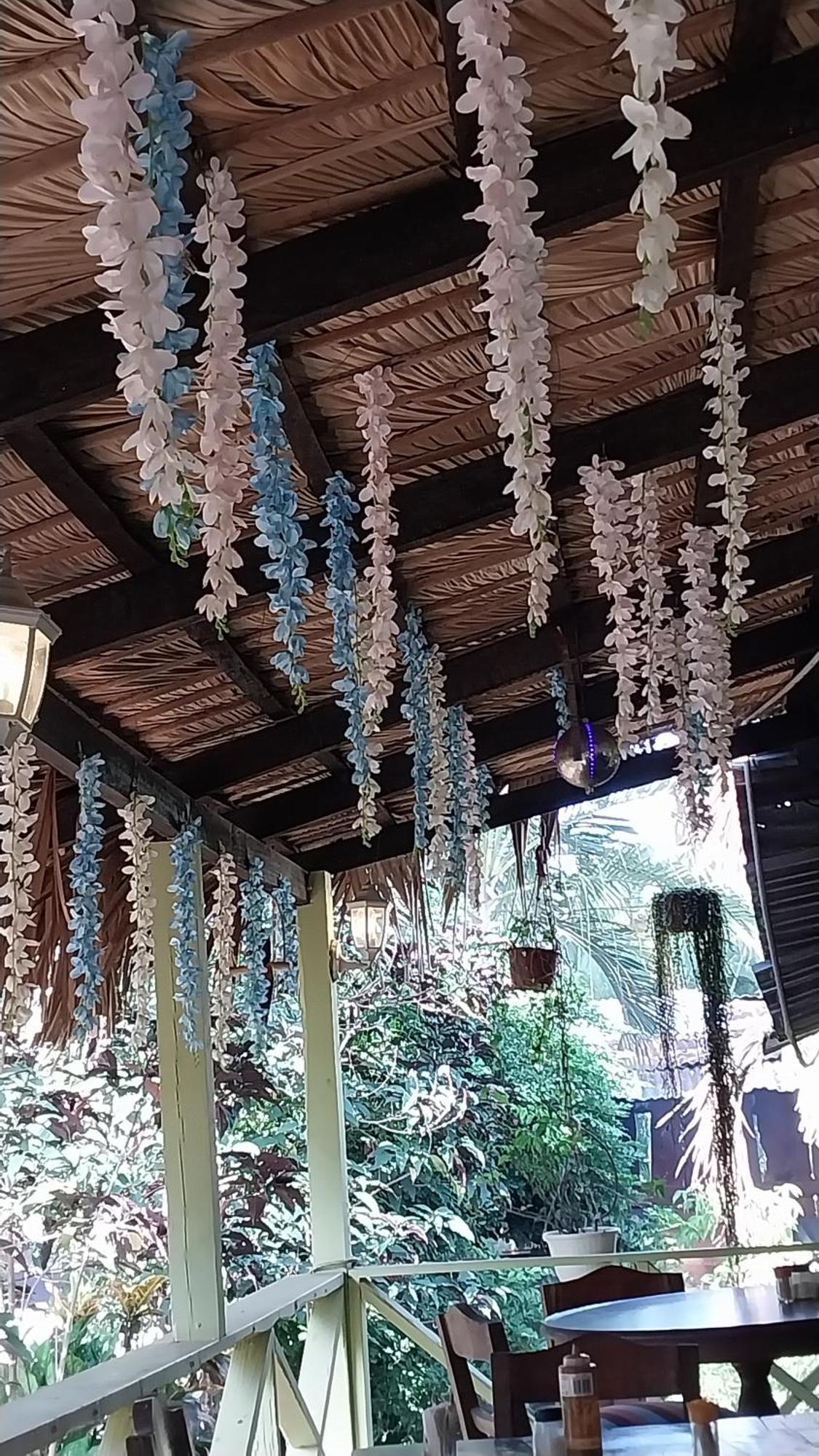 La Famosa Costillas A La Lena Jarabacoa Bagian luar foto