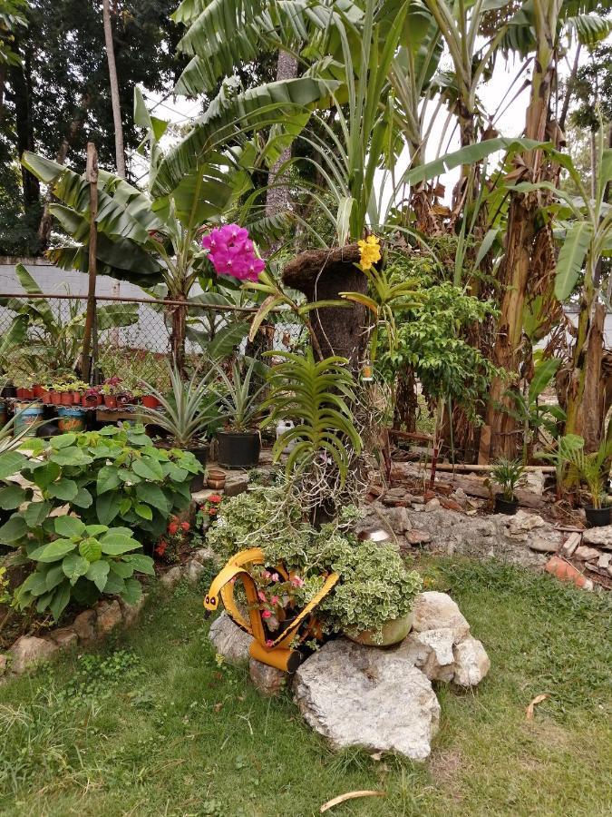 La Famosa Costillas A La Lena Jarabacoa Bagian luar foto